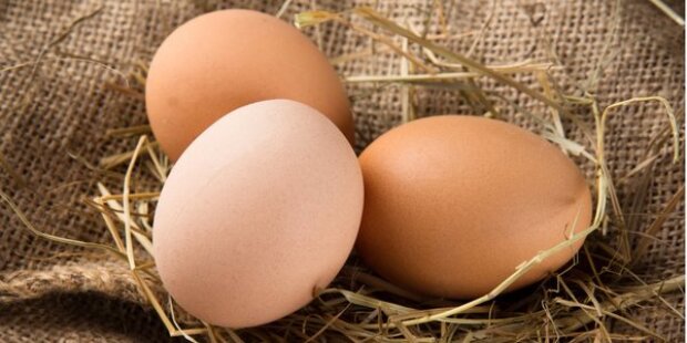 "Только с утра из-под курочки": как проверить, не обманывают ли вас на рынке со свежестью яиц
