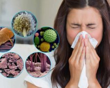 Алергія, зображення із вільних джерел