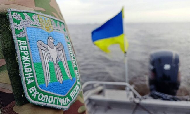 Держекоінспекція