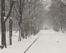 Весну в Україні замінять снігопади і заморозки. Наскільки це затягнеться