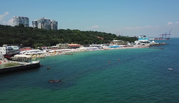 Грязь и водоросли: украинка показала видео с одесских пляжей. Купаться только в рубашке