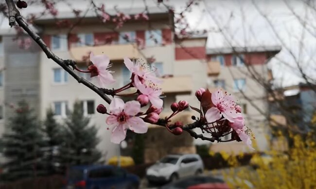 Готовимся к пикникам: какой будет погода на майские праздники. Прогноз