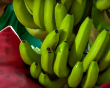 Банани. Фото: скріншот YouTube-відео.
