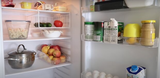 Он есть в каждом холодильнике: назван самый токсичный предмет, который отравляет вашу еду