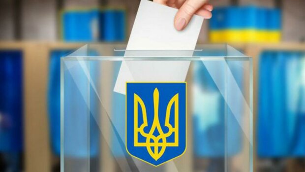 Выборы