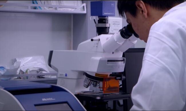 Вакцины от коронавируса. Фото: YouTube