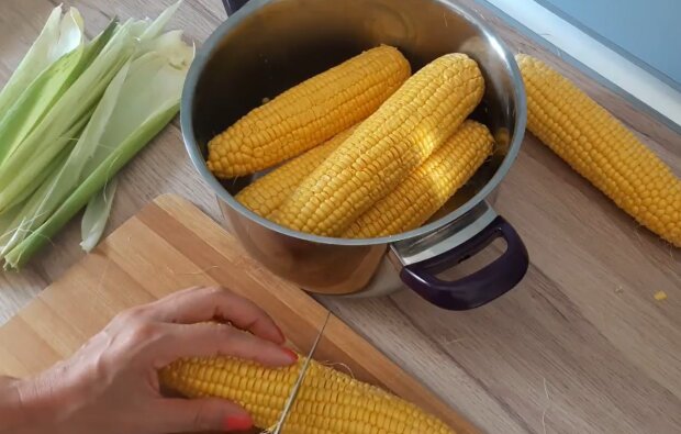 Захочеться добавки: кілька секретів приготування найсмачнішої кукурудзи