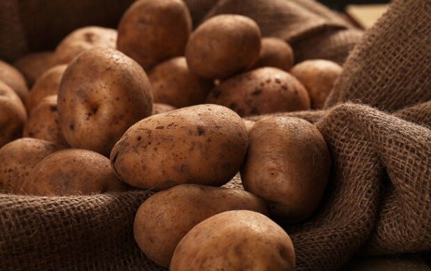 Що потрібно зробити, щоб картопля не проростала навесні: хитрість, про яку не всі знають