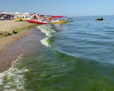 Вонь стоит на десятки метров от береговой линии. В Одессе опять возникла проблема с загрязнением моря