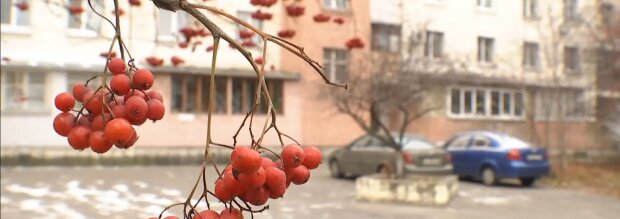 Дика жижа з мокрим снігом: синоптики попередили українців про погоду до кінця тижня