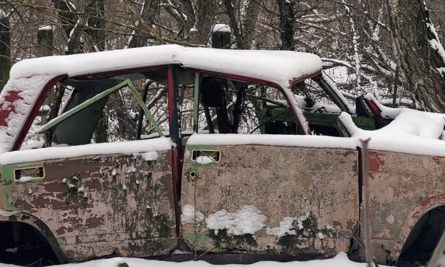 Чернобыль не перестает удивлять: в сети показали фото гигантской кошки, которая продавит крышу в машине