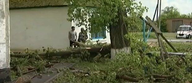 Ураган в Росії. Фото: скріншот YouTube