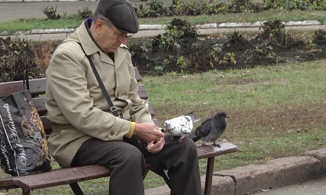 Украинцам дадут деньги на лекарства и продукты. Куда нужно обращаться