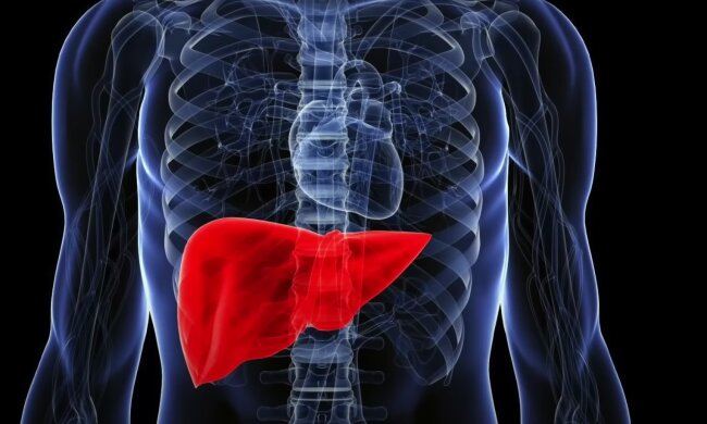 Настоящий секрет долголетия: названы каши, которые очищают и восстанавливают печень