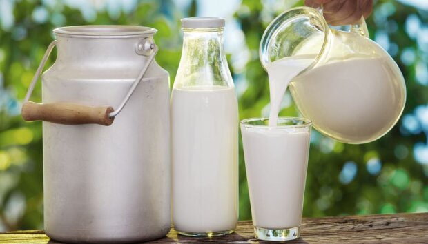 Проклинатимете все на світі: названі продукти, які в жодному разі не можна поєднувати з молоком