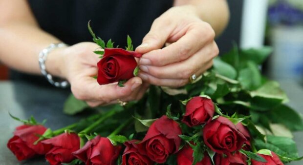 Цей секрет завжди використовують продавці квітів: що потрібно зробити з трояндами, щоб вони простояли кілька тижнів