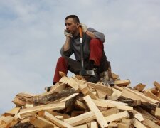 На одну людину дадуть 15 кубометрів: запрацював державний сервіс з купівлі дров для населення