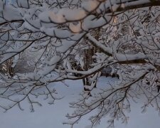 Ждать ли снега на Новый год: синоптики удивили прогнозом погоды на зимние праздники