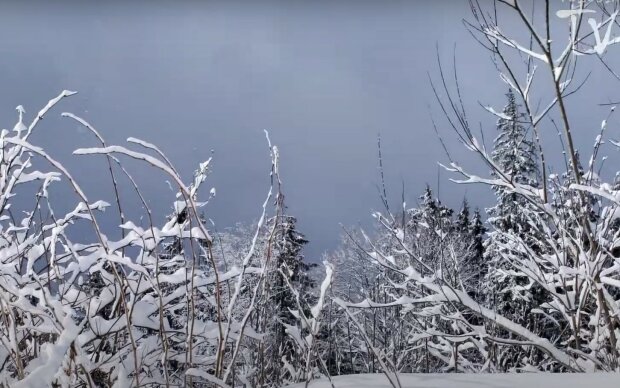 Сніг.  Фото: скріншот YouTube-відео