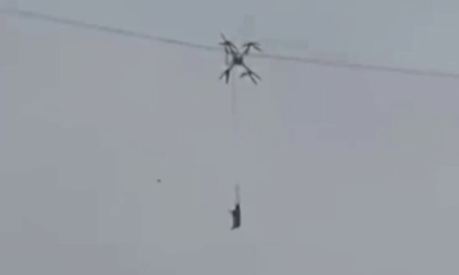 Дрон із свинею, кадр з відео