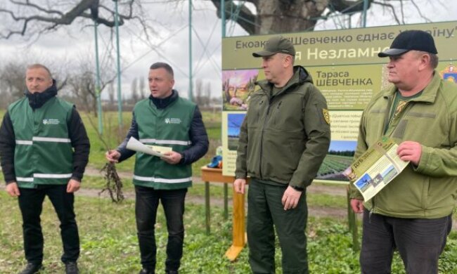 Госэкоинспекция произвела высадку дубов в рамках программы президента