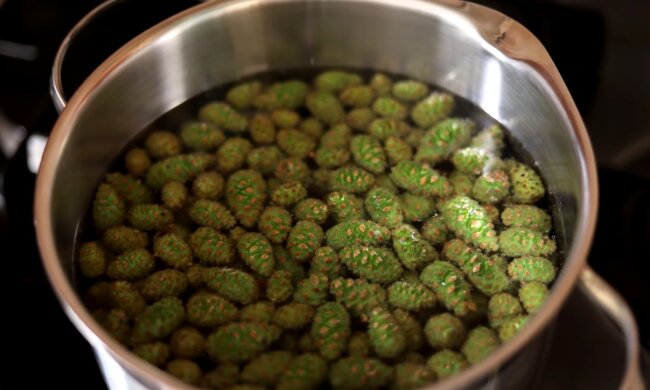 Варення із шишок. Фото: YouTube