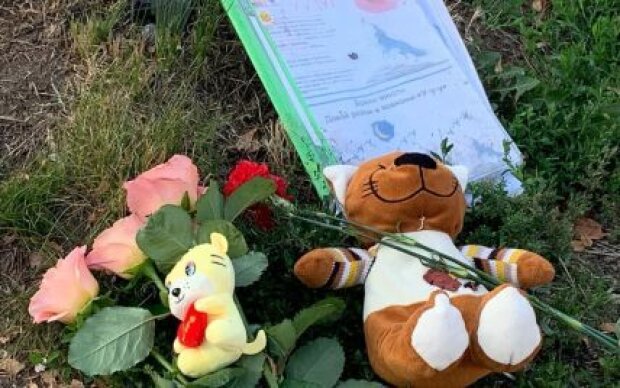 Ничего святого: женщина украла игрушки, которые лежали в память о детях на месте ракетного удара в Виннице. Видео