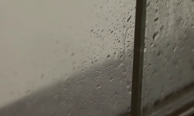 Вікна, конденсат, пліснява