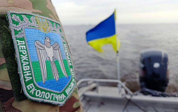 Держекоінспекція