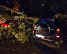 Дикий ураган та потоп у Дніпрі: деревами знищувало машини та обривало балкони. Фото