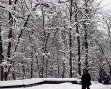 Це якийсь дурдом: до Києва привезли 80 тонн снігу з Карпат, щоб потім його прибирати за Наші гроші. Відео