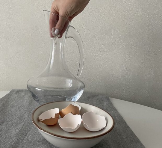 Посуд блищатиме як новий: для чого хитрі господині додають яєчну шкаралупу в миючий засіб