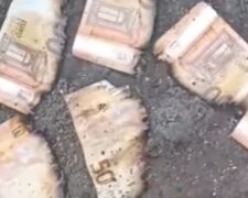 Гроші лилися "річкою": на Тернопільщині з каналізації вимило пачку євро. Відео