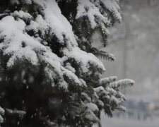 Заметет снегом на несколько метров. Синоптики прогнозируют непогоду в Украине