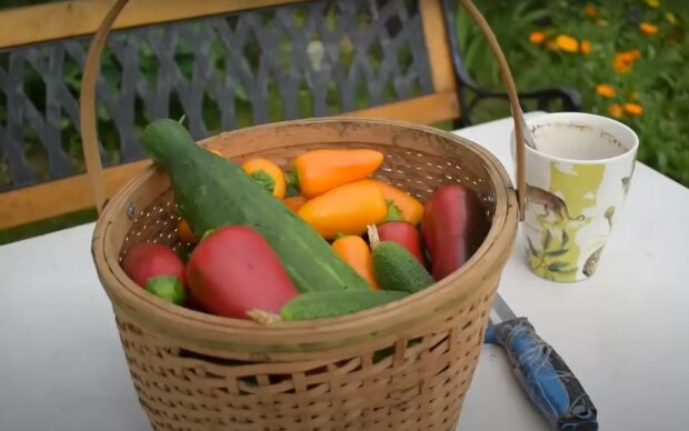 Овочі. Фото: скріншот YouTube-відео