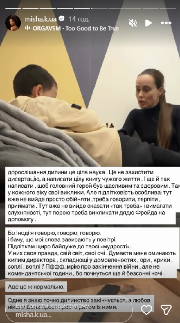 Скрін публікації Ксенії Мішиної