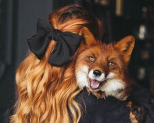 Гороскоп, зображення: Pinterest