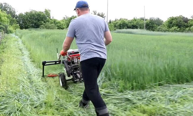 Жителей сел и дач предупредили об "огородных штрафах": за что накажут на 6 тысяч гривен