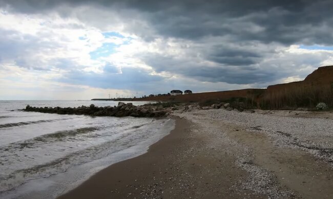 "Сюрприз" курортникам: на березі Азовського моря знайшли крокодила. Фото