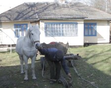 Ринок землі: плюси, мінуси та прогнози