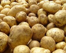 Що потрібно зробити з мерзлою картоплею, щоб вона знову стала придатною до вживання