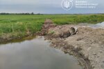Екоінспекція виграла суд: "Аделаїда" має виконати припис і відзвітувати за воду