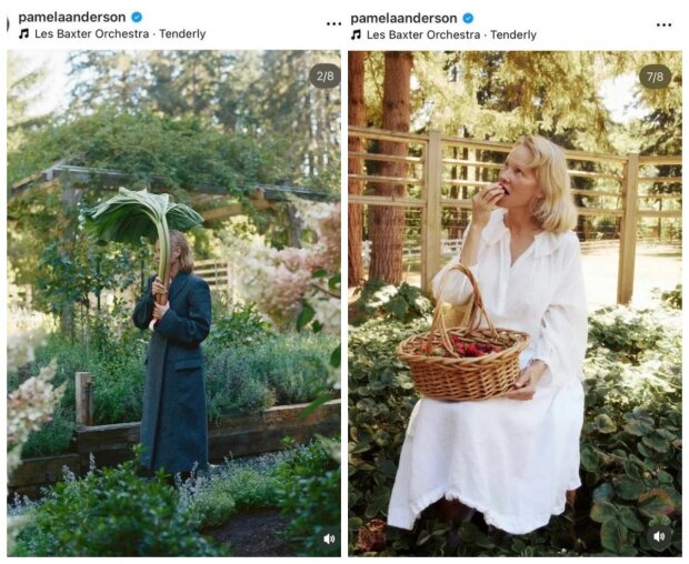 Памела Андерсон, фото із соцмереж