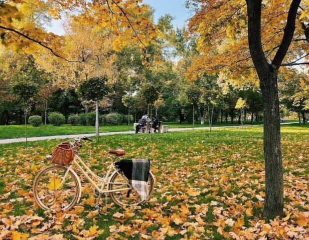 Осень, украинцы, фото из соцсетей