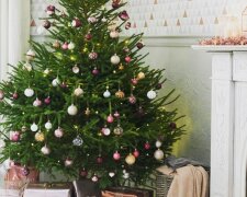 Пора готовить украшения: где можно купить новогоднюю елку и во сколько она обойдется