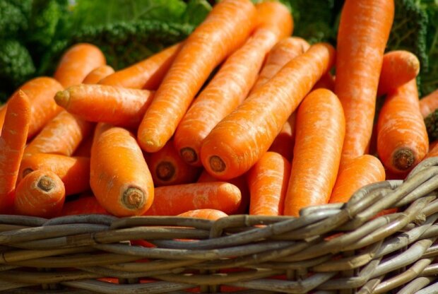 Будет еще красивее, чем в супермаркете: как вырастить идеально ровную и сладкую морковь