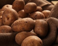 Что нужно сделать, чтобы картошка не прорастала весной: хитрость, о которой не все знают