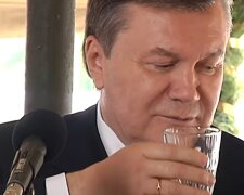 Янукович сидел в Беларуси: Путин был на 100% уверен, что в марте сделает его президентом Украины, - расследование