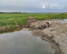 Экоинспекция выиграла суд: "Аделаида" должна выполнить предписание и отчитаться за воду