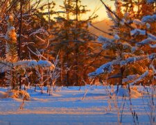 Первый снег. Фото: скриншот YouTube-видео